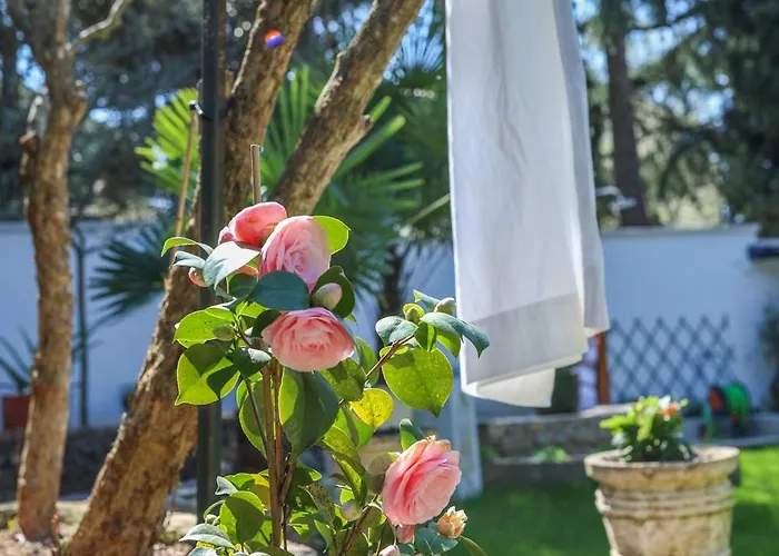 Apartment Casa Antonio Rovinj