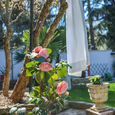 Apartman Casa Antonio Rovinj